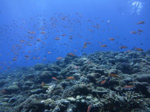 sIMG_5353