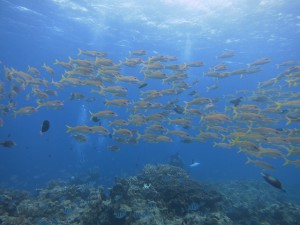 IMG_5735