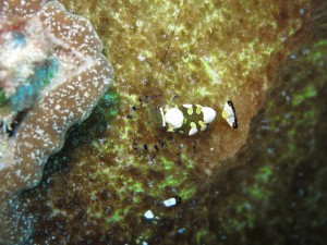 IMG_5756