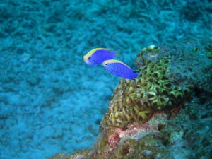 IMG_5759