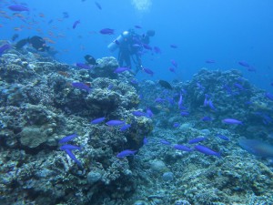IMG_5772
