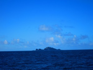IMG_6316