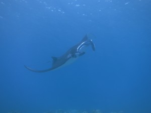 IMG_8213