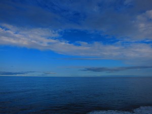 IMG_8333