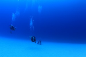 sIMG_2558