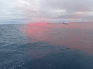 P5232412
