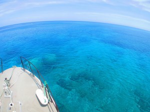IMG_0628