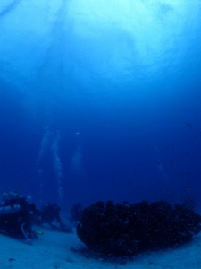 sP6174471