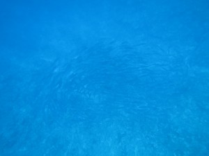 IMG_8757