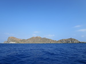 IMG_8827