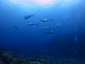s-IMG_2321