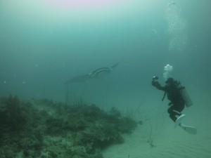 IMG_1681