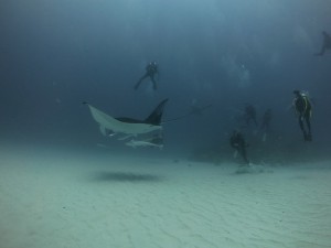 IMG_1697