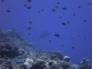 IMG_1765