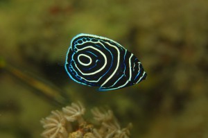 IMG_5013