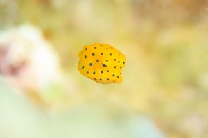 IMG_5035