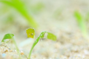 IMG_5046