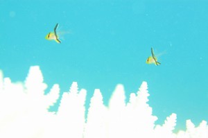 IMG_5077