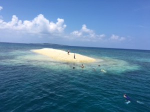 image1