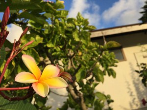 s-IMG_5251