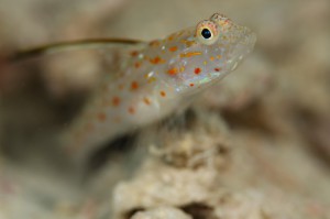 s-IMG_5267