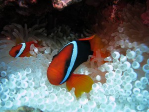 s-IMG_8360