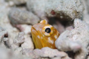 s-IMG_9049