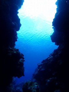 s-P8165089