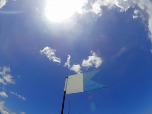 s-P8165096