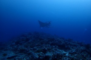 s-P8170369