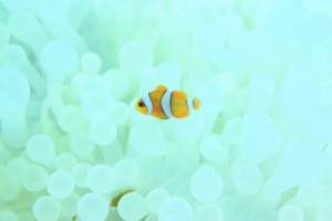 sIMG_6018
