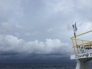 IMG_7416