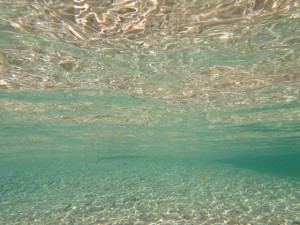 IMG_7242