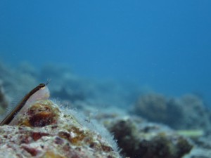 512_170512_0044