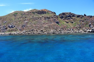 IMG_4795