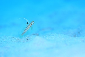 IMG_0089