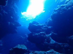 P9281078
