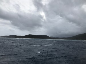 IMG_1530