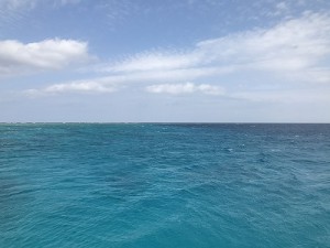 IMG_1634
