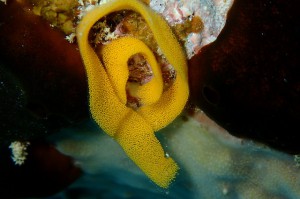 P4088604