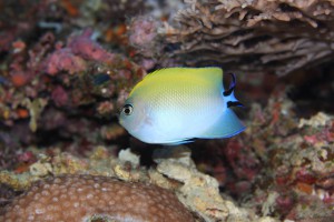 IMG_1544