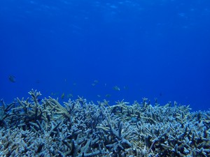 P6087910