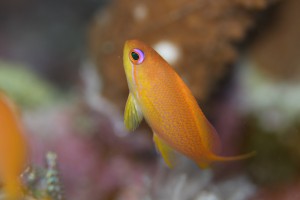 IMG_1819
