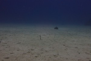 P7153743