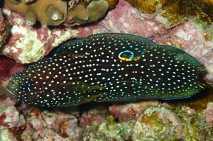 P1057337
