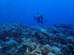 P9090016