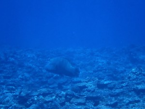 IMG_20181015_173505