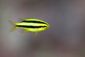 IMG_8055
