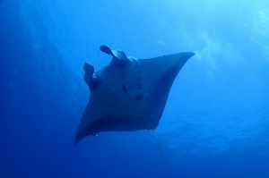 PB084923