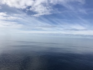 IMG_0171